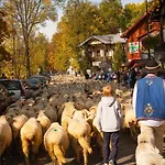 Na Szczycie Z Sauna I Kominkiem - Dwupoziomowy