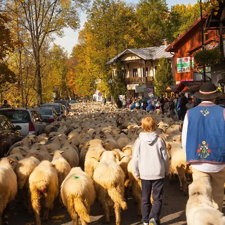Na Szczycie Z Sauna I Kominkiem